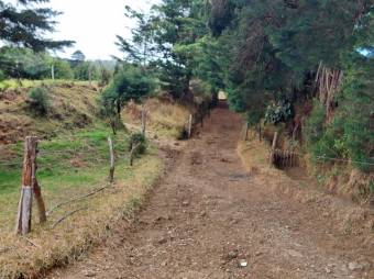 Se vende finca con mas de 280,000m2 en San José de la Montaña 23-2563