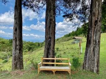 Se vende finca de 14.9 Hectáreas en Santa Barbara Heredia 23-2274