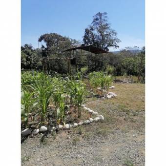 VENTA DE CASA, CARTAGO, JIMENEZ, PEJIBAYE 