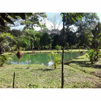 VENTA DE FINCA, USO MIXTO, ALAJUELA, SAN CARLOS, LA TIGRA  