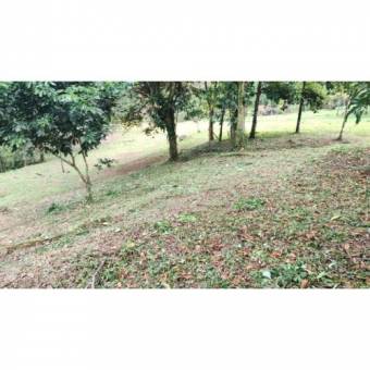 VENTA DE FINCA, USO MIXTO, ALAJUELA, SAN CARLOS, LA TIGRA  