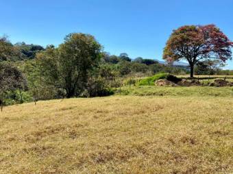 Se vende lote de 11,827m2 en San Juan Heredia 23-2268