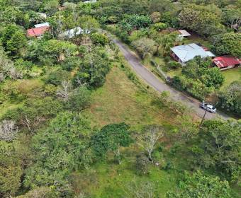 Lote a la venta en La Guaria, Piedades Sur, San Ramón