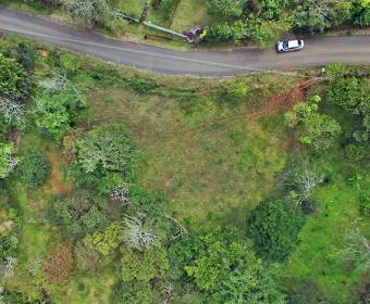 Lote a la venta en La Guaria, Piedades Sur, San Ramón