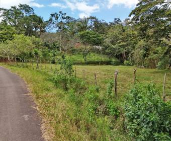 Lote a la venta en La Guaria, Piedades Sur, San Ramón