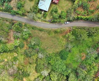 Lote a la venta en La Guaria, Piedades Sur, San Ramón