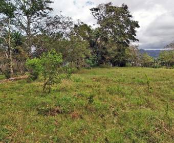 Lote a la venta en La Guaria, Piedades Sur, San Ramón