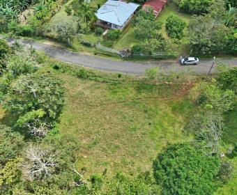 Lote a la venta en La Guaria, Piedades Sur, San Ramón