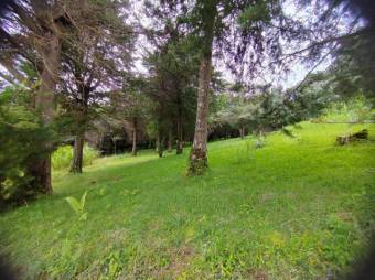 Se vende lote de 7,000m2 en Concepción Heredia 25-583