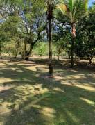 Se vende lote de 12,802m2 en La virgen Heredia 24-1822