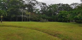 MLS-25-607 VENTA LOTE DE 9.800M2 POCOCI GUAPILES 