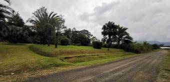 MLS-25-607 VENTA LOTE DE 9.800M2 POCOCI GUAPILES 