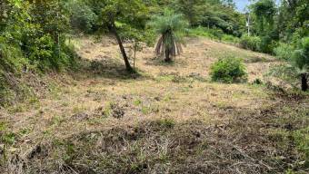 MLS-26-182 VENTA LOTE SAN PEDRO TURRUCARES