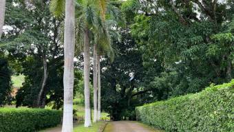 MLS-26-182 LS VENTA LOTE SAN PEDRO TURRUBARES