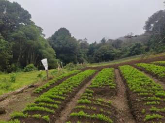 MLS-25-1060 LS VENTA FINCA DOTA SAN JOSE