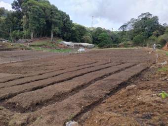 MLS-25-1060 LS VENTA FINCA DOTA SAN JOSE