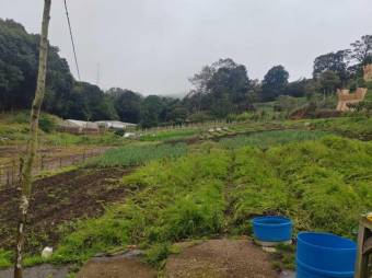 MLS-25-1060 LS VENTA FINCA DOTA SAN JOSE