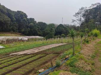 MLS-25-1060 LS VENTA FINCA DOTA SAN JOSE