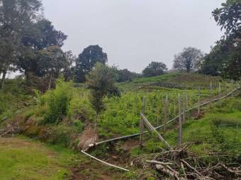 MLS-25-1060 LS VENTA FINCA DOTA SAN JOSE