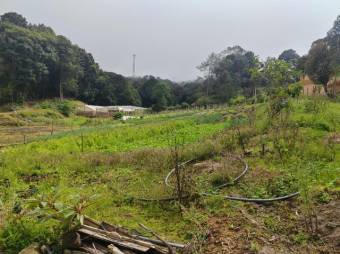 MLS-25-1060 LS VENTA FINCA DOTA SAN JOSE