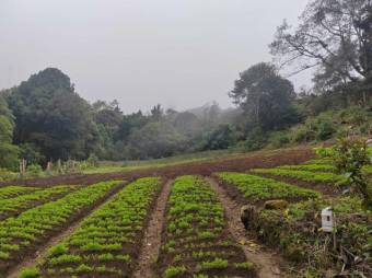 MLS-25-1060 LS VENTA FINCA DOTA SAN JOSE