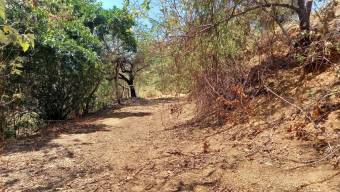 Se vende amplio lote de 3 hectáreas en Brasil de Santa Ana 24-1140 Se vende amplio lote de 3 hectáreas en Brasil de Santa Ana 24-1140