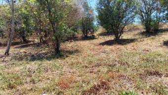 Se vende amplio lote de 3 hectáreas en Brasil de Santa Ana 24-1140 Se vende amplio lote de 3 hectáreas en Brasil de Santa Ana 24-1140