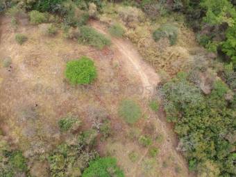 Se vende amplio lote de 3 hectáreas en Brasil de Santa Ana 24-1140