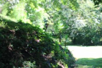 Se vende amplio lote de 5,600m2 con uso residencial en Santa Ana 24-395 Se vende amplio lote de 5,600m2 con uso residencial en Santa Ana 24-395