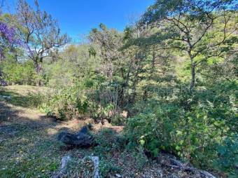 Se vende lote de 5,900m2 en Altos de Paloma Santa Ana 25-1836 Se vende lote de 5,900m2 en Altos de Paloma Santa Ana 25-1836