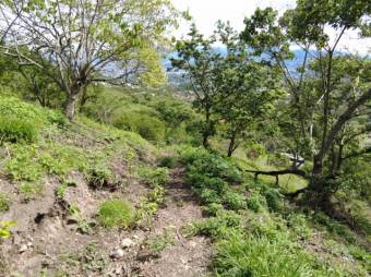 Se vende amplio lote de 8,400m2 en San Antonio Escazú 23-1473 Se vende amplio lote de 8,400m2 en San Antonio Escazú 23-1473