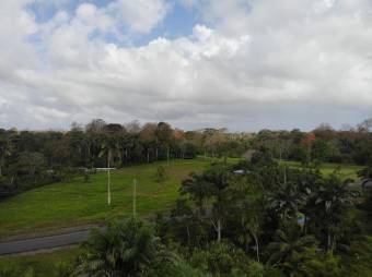 Se vende amplio terreno con 29.8 hectáreas en Matama de Limón 25-1361 Se vende amplio terreno con 29.8 hectáreas en Matama de Limón 25-1361
