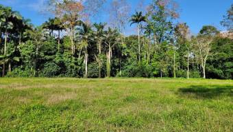 Se vende amplio terreno con 29.8 hectáreas en Matama de Limón 25-1361 Se vende amplio terreno con 29.8 hectáreas en Matama de Limón 25-1361
