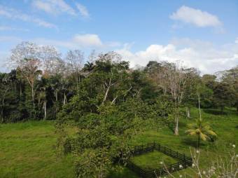 Se vende amplio terreno con 29.8 hectáreas en Matama de Limón 25-1361 Se vende amplio terreno con 29.8 hectáreas en Matama de Limón 25-1361