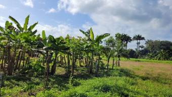 Se vende amplio terreno con 29.8 hectáreas en Matama de Limón 25-1361 Se vende amplio terreno con 29.8 hectáreas en Matama de Limón 25-1361