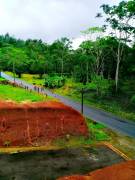 EXCELENTE UBICACIÓN Y PRECIO EN SAN CARLOS. Desea construir su casa, apartamento o Airbnb?. 