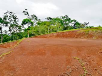 EXCELENTE UBICACIÓN Y PRECIO EN SAN CARLOS. Desea construir su casa, apartamento o Airbnb?. 