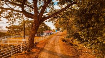 Tourism and Livestock Potencial Farm 