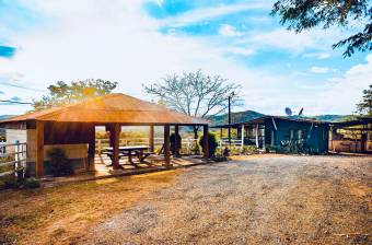 Tourism and Livestock Potencial Farm 