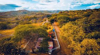 Tourism and Livestock Potencial Farm 