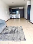 $245.000 Apartamento en venta Torres Paseo Colon San Jose
