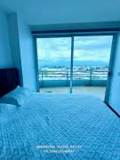$245.000 Apartamento en venta Torres Paseo Colon San Jose