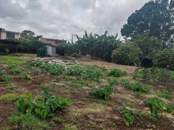 MLS-25-387 LS VENTA LOTE SAN RAFAEL HEREDIA