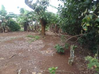 MLS-25-387 LS VENTA LOTE SAN RAFAEL HEREDIA