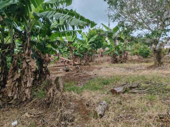 MLS-25-402 LS VENTA LOTE SAN RAFAEL HEREDIA