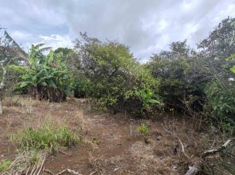 MLS-25-402 LS VENTA LOTE SAN RAFAEL HEREDIA