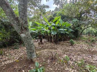 MLS-25-402 LS VENTA LOTE SAN RAFAEL HEREDIA