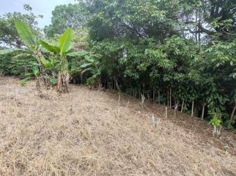 MLS-25-402 LS VENTA LOTE SAN RAFAEL HEREDIA