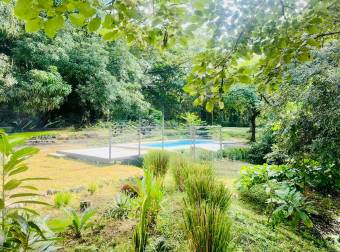 FOR SALE ! Nature Retreat with Pool and Guest Suite 