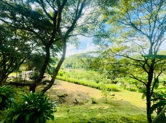 FOR SALE ! Nature Retreat with Pool and Guest Suite 